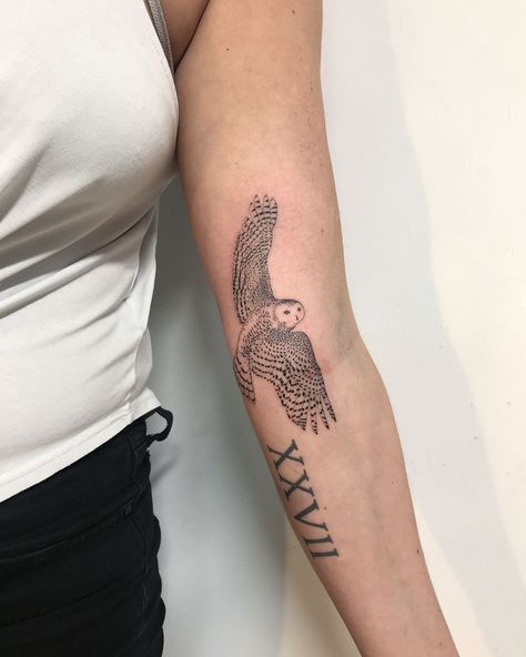 Owl Tattoos, Night Owl Tattoo, Snowy Owl Tattoo, Simple Owl Tattoo, Baby Owl Tattoos, Owl Tattoo Meaning, Owl Tat, Owl Tattoo Sleeve, Hairstyle App
