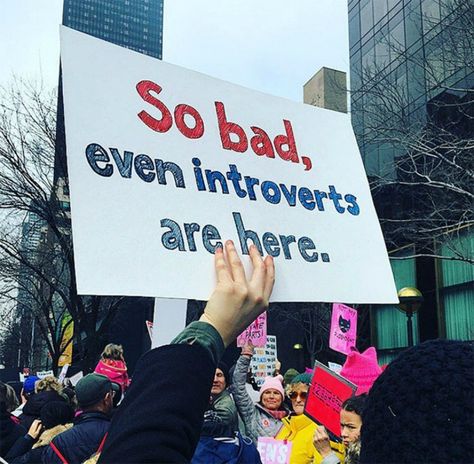Humour, Womens March Signs, March Signs, Protest Posters, Protest Art, Malala Yousafzai, And So It Begins, Protest Signs, Womens March