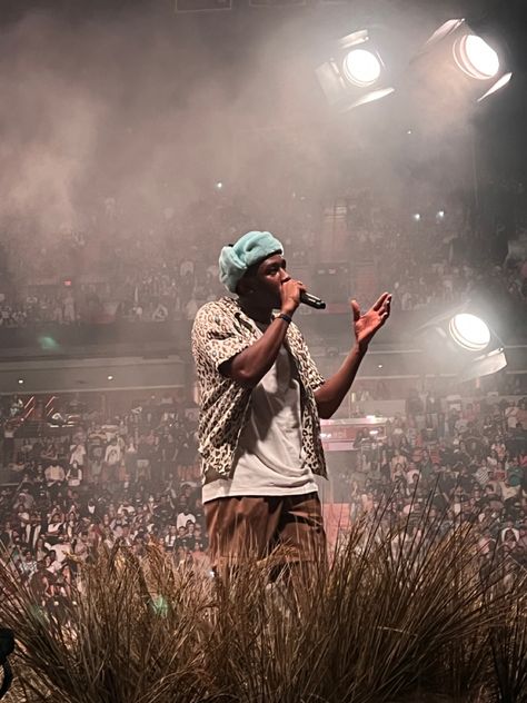 The Weeknd And Tyler The Creator, Tyler The Creator Good Photos, Tyler The Creator Aesthetic Concert, Tyler The Creator Concert Aesthetic, Concert Tyler The Creator, Tyler The Creator On Stage, Tyler The Creator Pictures, Tyler The Creator Widgets, Tyler The Creator Performing