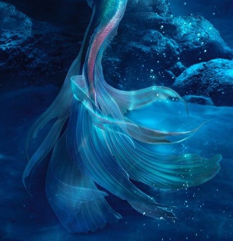 Ariel Aesthetic Live Action, Barbie Mermaid Aesthetic, The Little Mermaid Aesthetic 2023, Mermaid Asethic, Aesthetic Mermaid Tail, Mermaid Tails Aesthetic, Mermaid Aesthetic Art, Ariel The Little Mermaid Aesthetic, Ariel Tail