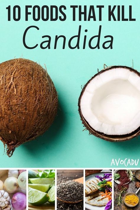 10 Foods That Kill Candida | Avocadu.com (One of the problems that can result from candida is hypothyroidism.  One of the many nutrients in seaweed is iodine, which helps to balance the thyroid and combat hypothyroidism) Candida Diet Food List, Candida Cleanse Diet, Yeast Cleanse, Anti Candida Diet, Candida Recipes, Candida Diet Recipes, Candida Cleanse, Candida Overgrowth, Candida Yeast