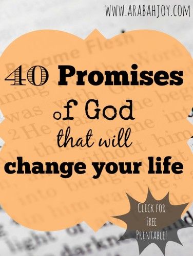 II Peter 1:4 says that it's through the promises of God we participate in the Divine nature. That means God's promises have the power to literally change our lives! Here are 40 promises and a simple method for using them. You can begin TODAY! Proverbs 31 Woman, The Promises Of God, Promises Of God, God's Promise, God's Promises, Divine Nature, Without Borders, Faith Inspiration, Gods Promises