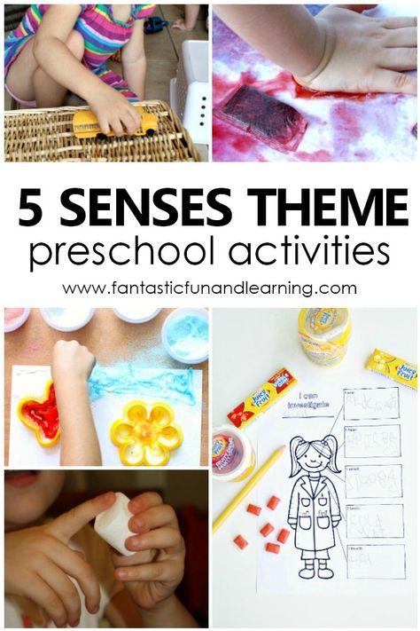 Five Sense Theme Preschool Activities-Fun activities and lesson plans for your preschool 5 senses theme Senses Theme Preschool, Preschool Five Senses, Preschool 5 Senses, Owls Preschool, Science Prek, Themes Preschool, Five Senses Activities, Preschool Teacher Tips, 5 Senses Preschool