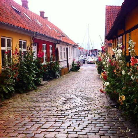 Fairy-tale castles, remote fishing villages, and the “Hamptons of Denmark”—it’s time to go beyond Copenhagen. Bonito, Danish Countryside, Baltic Sea Cruise, Pretty Cities, Beautiful Scenes, Fairytale Castle, Village Life, Travel Bug, Copenhagen Denmark