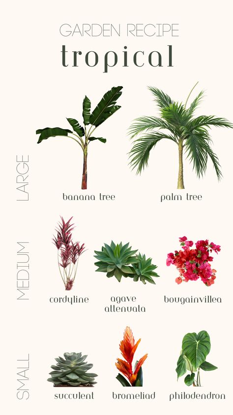 Small, medium and large tropical plants. Tropical plant ideas, tropical garden ideas, tropical gardening, outdoor pool landscaping Plants That Need Full Sun, Bromeliad Landscaping Ideas, Patio Stone Ideas, Spanish Landscaping, Tropical Garden Plants, Tropical Backyard Landscaping, Bali Garden, Tropical Landscape Design, Florida Garden