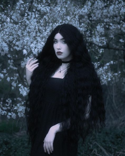 𝔡𝔞𝔯𝔨 𝔟𝔩𝔬𝔬𝔪 • effina midi dress • myth handbag all from @killstar [gifted] I waited a very long time to take photos in flowers! These photos were taken after sunset as I wanted a dark and ethereal vibe. This is my softer version compared to recent dark make-up looks 🥀 self-portraits helper @winiacz_ #gothgirl #goth #gothic #gothfashion #gothstyle #gothicfashion #gothicstyle #darkfashion #darkfashionstyle #darkcottagecore #darkcottagecoreaesthetic #darkcore #darkart #darkfolk #selfport... Gothic Beauty, Dark Cottage Core Aesthetic, Dark Cottagecore, Dark Arts, Goth Girl, Long Black Hair, Make Up Looks, Wait For Me, Dark Fashion