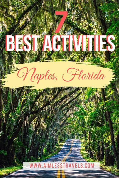 Sanibel Island, Things To Do In Naples, Florida Trips, Top Vacation Destinations, Kissimmee Florida, Outdoors Activities, Travel Destinations Bucket Lists, Clearwater Florida, Sarasota Florida