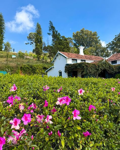 Postcards from Ooty & Coonoor 🌿🌻❤️ Let me know which one’s your favourite 😍✨ . . . #postcardplaces #hillstationsofindia #ooty #ootydiaries #ootytrip #ooty❤ #ootydays #coonoor #coonoordiaries #natgeoyourshot #natgeotravel #travelrealindia #travelphotography #travelawesome #hillstationofindia #indiapictures #indiatravelgram #shotoniphone #shotoniphone15pro Travel Photography, Nature, Ooty, Ooty India Photography, Ooty Hill Station, Ooty Trip, India Photography, Hill Station, India Travel