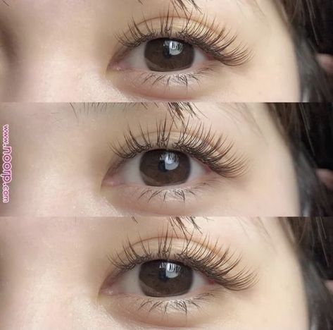 Anime Lash Extensions, Eye Makeup Asian, Anime Lash, Tzuyu Body, Makeup For Small Eyes, Bentuk Alis, Korean Eye, Makeup Asian, Eyelash Extensions Styles