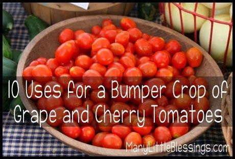 10 uses for a bumper crop of grape and cherry tomatoes Preserving Cherry Tomato Recipes, Freezing Cherry Tomatoes, Grape Tomato Recipes, Canning Cherry Tomatoes, Cherry Tomato Salsa, Canning Tomatoes Recipes, Preserving Tomatoes, Tomatoes In Containers, Tomato Salsa Recipe