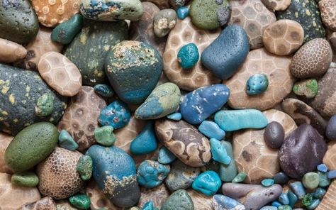 Nature, Lake Michigan Stones, Pudding Stone, Gem Hunting, Leland Blue Stone, Michigan Rocks, Rock Identification, Rock Collecting, Rock Tumbling