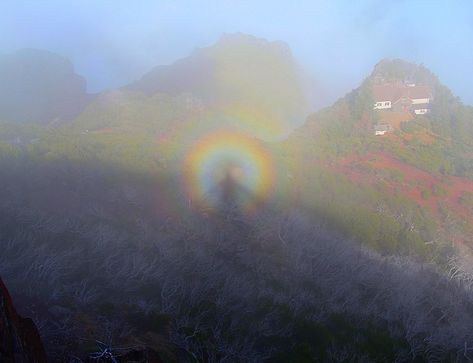 wikipictures on Instagram: “Glory (optical phenomenon) ty @languidd for putting me onto an optical deep dive (more of these posts to follow). go follow them, their…” Ipad, Diving, Travel, Nature, Optical Phenomena, Labour, In Nature, Rush, Documentaries