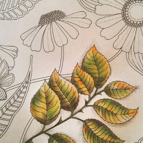 Fall leaves with colored pencils.: Colouring Leaves With Pencils, Colored Pencil Leaves, Coloring Leaves With Colored Pencils, Coloring Leaves, Pencil Blending, Leaves Coloring, Art Colored Pencil, Pencil Drawing Ideas, Blending Colored Pencils