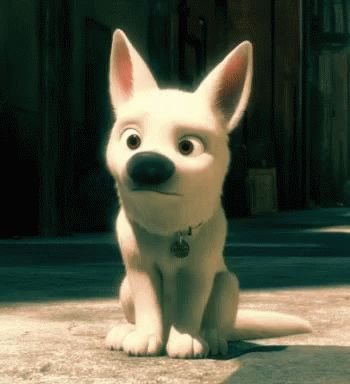 Dogs, Disney, Disney Bolt, Bolt Dog, Dog Disney, Bolt Disney, Disney Dogs, Animated Gif, Gif