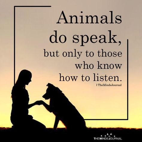 Animals Do Speak - https://themindsjournal.com/animals-do-speak/ Uplifting Quotes, Animal Lover Quotes, Animal Communication, Humanity Quotes, Now Quotes, Animal Guides, Highly Sensitive People, Spirit Guide, Save Animals