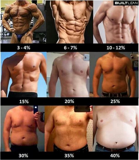 Body type male Body Fat Percentage Men, Transformation Du Corps, Workout Bauch, Nutrition Sportive, Body Fat Percentage, 남자 몸, Bodybuilding Workout, Health Knowledge, After Pictures