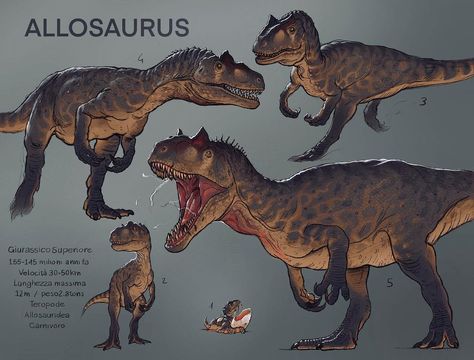 Dinasour Sketches, Cool Dinosaur Art, Paleo Art Dinosaurs, Allosaurus Drawing, Allosaurus Art, Dinosaur Paleoart, Paleoart Dinosaurs, Dinosaur Concept Art, Dinosaur Oc