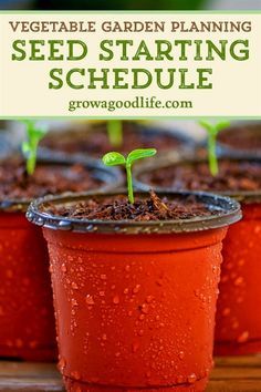 Seed Starting Schedule, When To Transplant Seedlings, Planting Schedule, Compost Container, Growing Vegetables In Pots, Gemüseanbau In Kübeln, Vegetable Garden Planning, Yard Ideas Cheap, Vegetable Garden Diy