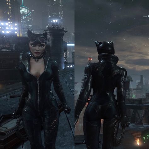 Catwoman Arkham, Dc Catwoman, Catwoman Dc, Batman Arkham Games, Batman Games, Catwoman Selina Kyle, Cat Women, Batman Arkham City, Gotham Girls