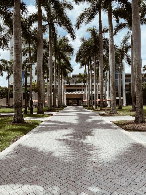 College In Florida Aesthetic, Florida College Aesthetic, School Campus Aesthetic, University Of Miami Aesthetic, University Of Miami Campus, University Miami, Miami College, Save Wallpaper, Culture Project