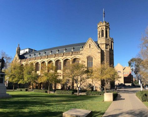 University of Adelaide                                                       … Adelaide University, Vet School Motivation, Dream University, University Of South Australia, University Of Adelaide, Australia Pictures, Vet School, Dream Vision Board, Adelaide South Australia