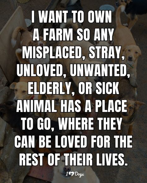 I Support Animal Rescue Rescue Dog Quotes, Animal Rescue Quotes, Animal Lover Quotes, Dog Rescue Stories, Mottos To Live By, True Quotes About Life, Happy Hippie, Dog Stories, Life Changing Quotes