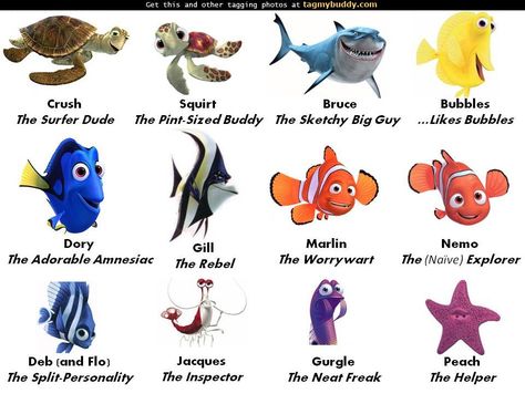 Nemo theme Finding Memo, Marlin Nemo, Nemo Characters, Dory Characters, Cartoon Characters Names, Finding Nemo Movie, Nemo Movie, Finding Nemo Characters, Personality Game