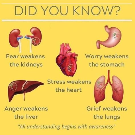 Medical Knowledge, Health Knowledge, Natural Therapy, Good Health Tips, Natural Health Remedies, Mental And Emotional Health, Health Facts, Health Info, Health Advice