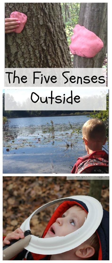 Five Senses Activities for Kids Outdoors! Senses Activities For Kids, Activities For Kids Outside, Five Senses Activities, Senses Preschool, My Five Senses, Senses Activities, Simple Activities, Education Positive, Learning Tips