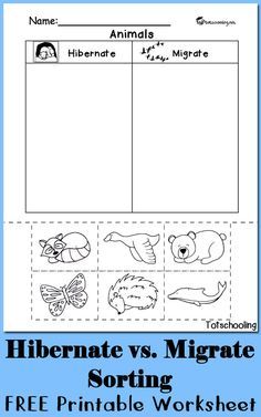 FREE worksheet to sort between animals who hibernate and migrate. Great science cut and paste activity for kindergarten and preschool. Preschool Winter Worksheets, Animal Sorting, Sorting Worksheet, Activity For Kindergarten, Kindergarten Activity, Vet Office, Play Activity, Animal Worksheets, Casa Diy