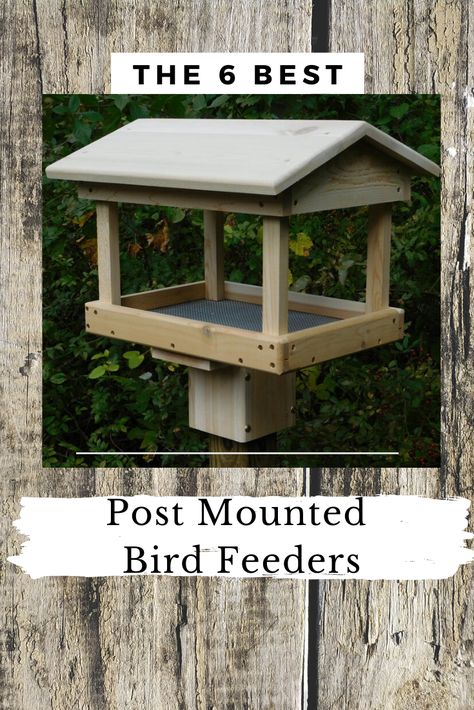 Top 6 bird feeders for mounting on your 4x4 post. Create your own beautiful feeding station with a post mounted feeder.    #birdfeeders #platformfeeders #diybirdfeeder Bird Feeder For Window, Beautiful Bird Feeders, Diy Standing Bird Feeder, Diy Wood Bird Feeder Woodworking Plans, How To Build Bird Feeders, Free Standing Bird Feeders Outdoor, Build Bird Feeder, Bird Feeders Wood, Post Bird Feeder