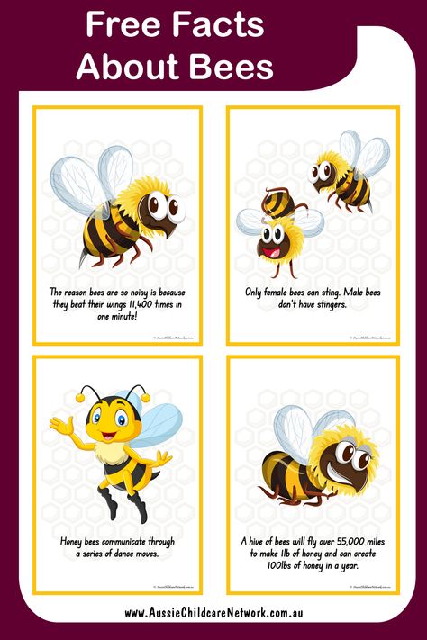 Bees Fact Posters have interesting facts about bees. These are great to use during group discussions on bees and to share with children. Childcare Experiences, Bee Facts For Kids, Facts About Bees, Fun Facts About Bees, Mind Maping, Butterfly Lifecycle, Bees For Kids, Honey Bee Facts, Aussie Childcare Network
