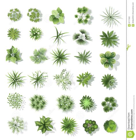 Illustration about Set of treetop symbols, for architectural or landscape design, for map, vector. Illustration of beauty, construction, city - 97171022 Landscape Ideas Front Yard Curb Appeal, Gambar Lanskap, Landscape Architecture Graphics, Trees Top View, Landscape Architecture Plan, Landscape Design Drawings, Tree Plan, Landscape Architecture Drawing, Desain Lanskap