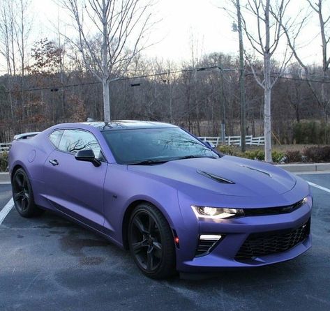 2016 Camaro Ss, Plum Crazy Purple, Custom Camaro, Camaro 2016, Purple Car, New Sports Cars, Lux Cars, Chevrolet Camaro Ss, Classy Cars