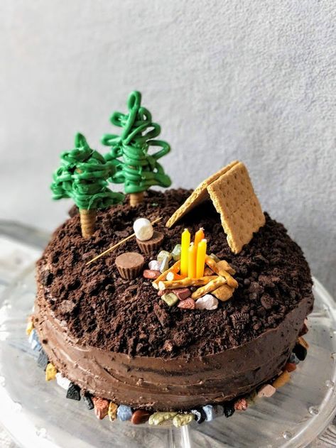 Easy S'mores Camping Cake - for Beginner Bakers | Feeling Nifty Campfire Cake Camping, Cool Cakes Easy, Camping Cake Decorating Ideas, Camp Cupcakes Ideas, Camp Fire Cakes, Cabin Cake Ideas, Outdoors Themed Cake, Camping Themed Cake Ideas, Camping Bday Cake