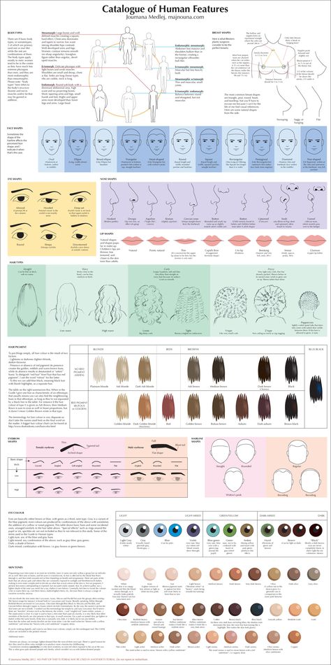 Drawing Tutorials, Drawing Tips, Inkscape Tutorials, Anatomy Tutorial, 얼굴 그리기, Art Instructions, Anatomy Reference, Drawing Lessons, Art Tips