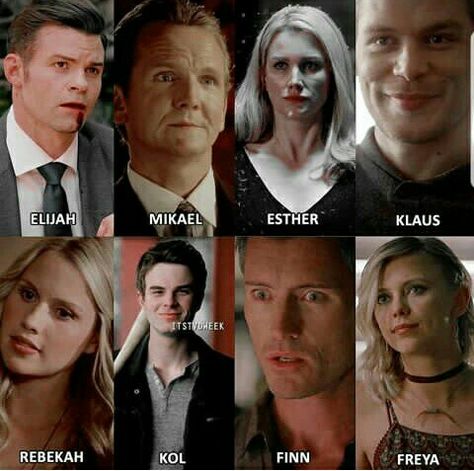 The Original family The Original Family Vampires, The Original Family, Vampire Family, Bonnie And Enzo, Vampire Diaries Outfits, Vampire Diaries Memes, The Mikaelsons, Vampier Diaries, Stefan And Caroline