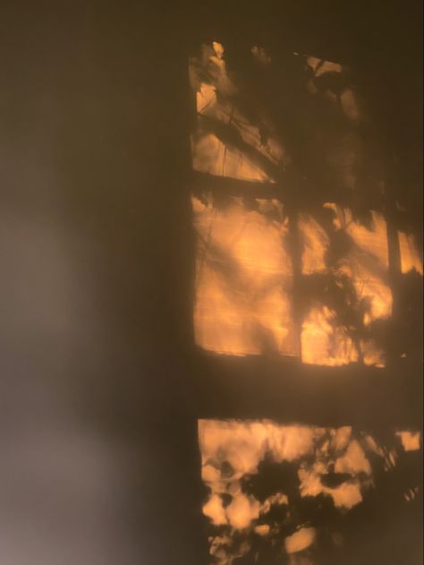 Window Light Reflection, Shadows And Reflections, Sun Reflection On Wall, Art With Shadows, Painting With Shadows, Shadows On The Wall, Light And Shadow Photography Photo Ideas, Sunlight On Wall, Warm Light Aesthetic