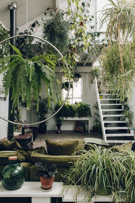 Plants everywhere inside Clapton Tram - a light warehouse space. Garden Concept, Jungle Decorations, Backyard Gardens, Tanaman Indoor, Jungle House, نباتات منزلية, Gardens Ideas, Gardening Design, Party Garden