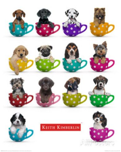 Coffee Mugs Photo by Keith Kimberlin at AllPosters.com Pie, Canvas Paintings, Keith Kimberlin, Artwork Collection, Scrapbook Borders, Dog Poster, Dog Crafts, Frames For Canvas Paintings, Affordable Wall Art