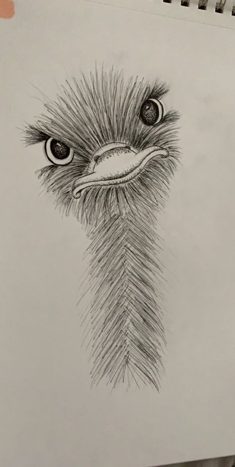 little ostrich friend :) #art #animalart #drawing #sketch Drawing Eyes, Easy Pencil Drawings, Organizator Grafic, Friend Art, Siluete Umane, Cool Pencil Drawings, 흑백 그림, Pencil Drawings Easy, Seni Cat Air