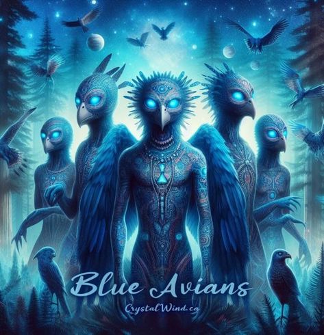 Discover the Secret of the Blue Avians: Channeling Mysteries Revealed! Blue Avian Starseed, Blue Avian, Blue Avians, Feldenkrais Method, Star Seed, Galactic Federation, Archangel Metatron, Celtic Astrology, Emotional Freedom Technique