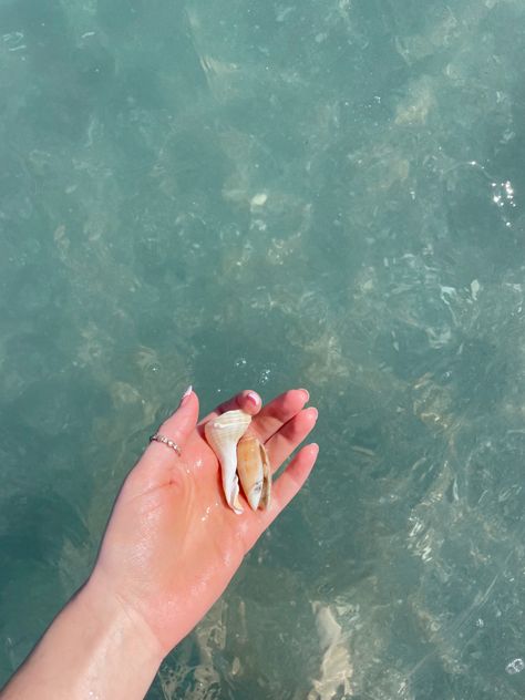 Coconut girl , shell searching , shelling , shell hunting , beach life Summer Bucket Lists, Shell Hunting, Salt Air, Coconut Girl, Summer Bucket, Beach Life, Sea Shells, Dates, Bucket List