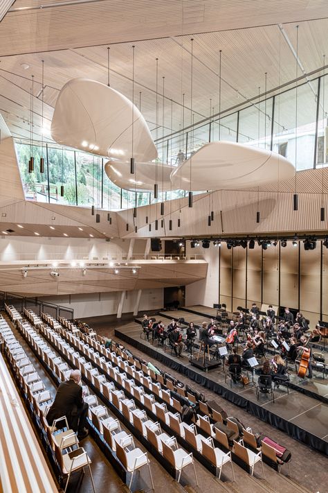 Performance Hall Architecture, Architecture Concert Hall, Music Hall Architecture, Small Auditorium Design, Multipurpose Hall Design, Concert Hall Design, Concert Hall Interior, Municipal Hall, Curve Building