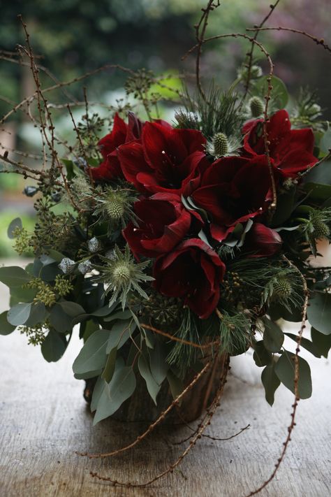 Amaryllis tied bouquet freshflower.co.uk Natal, Winter Floral Bouquet, Winter Bouquet Flowers, Amaryliss Christmas, Amaryllis Centerpiece, Christmas Flower Arrangements Ideas, Christmas Flower Bouquet, Christmas Amaryllis, Amaryllis Bouquet