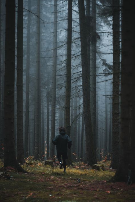 person running in forest trees with mist photo – Free Tree Image on Unsplash Lex Talionis, Creepy Photography, Person Running, Dark Naturalism, Dark Forest Aesthetic, Half Elf, Dream Symbols, Dream Interpretation, Lucid Dreaming