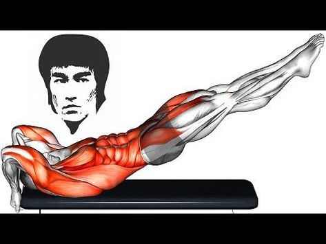 Bruce Lee Exercises Workout, Bruce Lee Abs Workout, Bruce Lee Abs, Bruce Lee Workout, Workout Videos For Men, Serratus Anterior, Abs And Obliques Workout, Kegel Exercise For Men, Fitness Training Plan