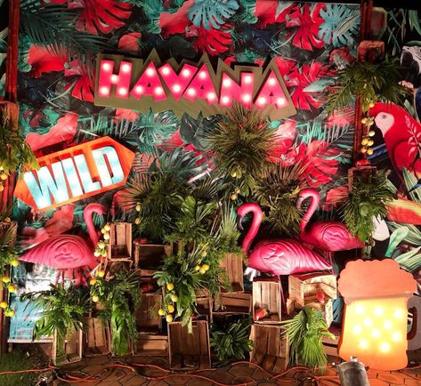 Daisy Dot Events on Instagram: “#havana #themedparty #daisydotevents #happeningnow @daisydotevents #flamingoparty #carribeantheme #tropicalparty #hawaii #beachparty…” Tropicana Party Theme, Havana Nights Backdrop, Hawaii 50 Party 50th Birthday, Havana Theme Party, Selfie Backdrop, Havana Nights Theme, Havana Party, 50th Birthday Themes, Havana Nights Party