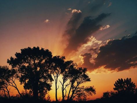 Silhouette trees against sky during sunset #photography #naturephotography #silhouette #sunset #landscape #tranquility #tree #treephotography #outdoors Trees, Photography, Nature Photography, Silhouette Trees, Silhouette Sunset, Tree Photography, Sunset Landscape, Tree Silhouette, Sunset Photography