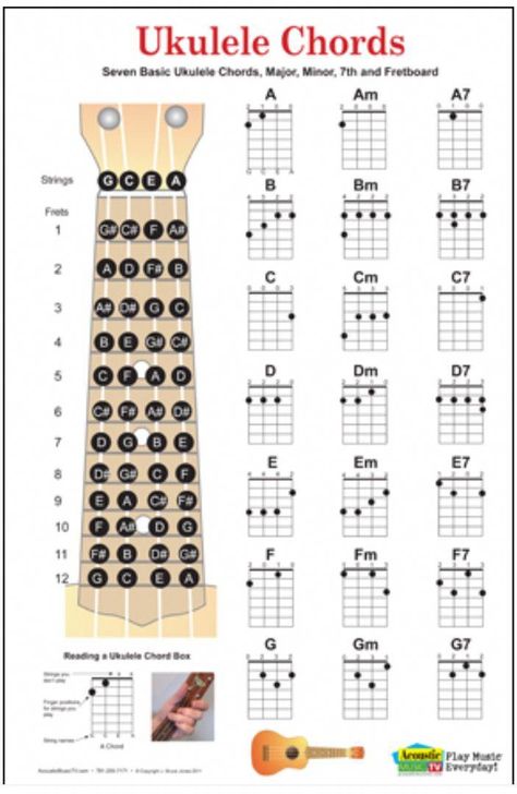 Ukulele chords #ukulelelessons Kunci Ukulele, Akordy Na Ukulele, Ukelele Chords Ukulele Songs, Ukulele Songs Beginner, Music Basics, Easy Ukulele Songs, Akordy Gitarowe, Learning Ukulele, Ukelele Chords